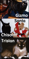 Kitties